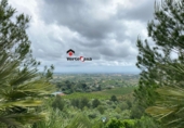 Xalet independent amb terreny en venda a Pedreguer ref.: TR233303 foto