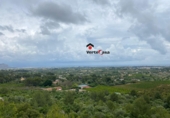 Xalet independent amb terreny en venda a Pedreguer ref.: TR233303 foto