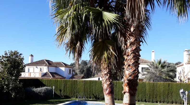 Córdoba - Córdoba - 601m2