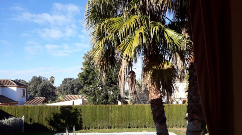 Córdoba - Córdoba - 601m2
