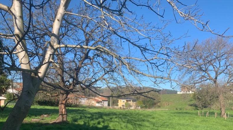 Cantabria - Viérnoles - 4200m2