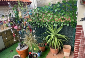 Foto 3