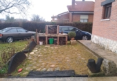 Chalet independiente con terreno en venta en Quintana del Puente ref: TR253063 foto