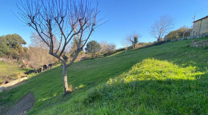 Cantabria - Pesués - 1295m2