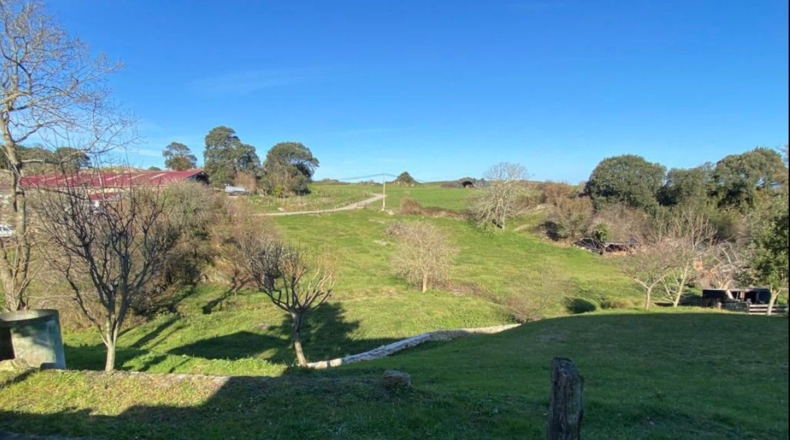 Cantabria - Pesués - 1295m2