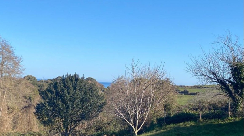 Cantabria - Pesués - 1295m2
