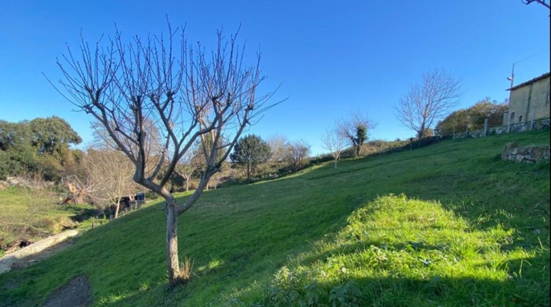 Cantabria - Pesués - 1295m2