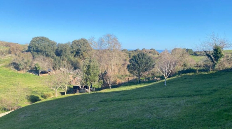 Cantabria - Pesués - 1295m2
