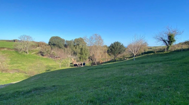 Cantabria - Pesués - 1295m2