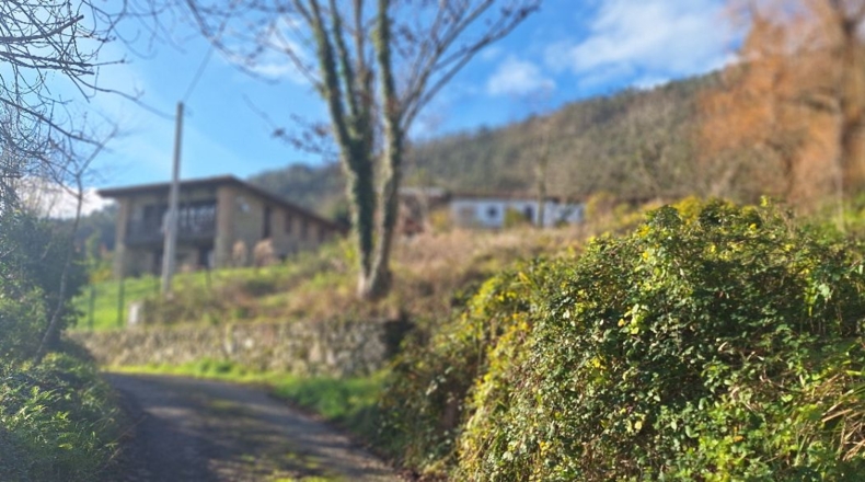 Asturias - Villaviciosa - 705m2