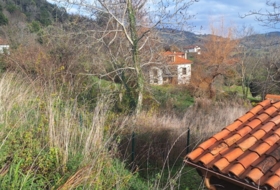 Villaviciosa 705&nbsp;m² 