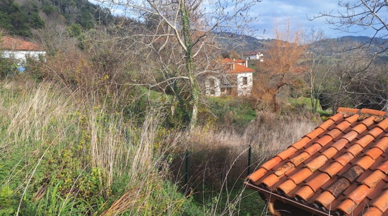 Asturias - Villaviciosa - 705m2