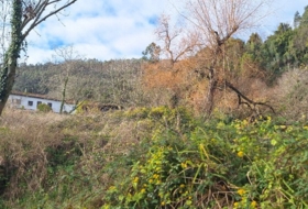 Villaviciosa 705&nbsp;m² 