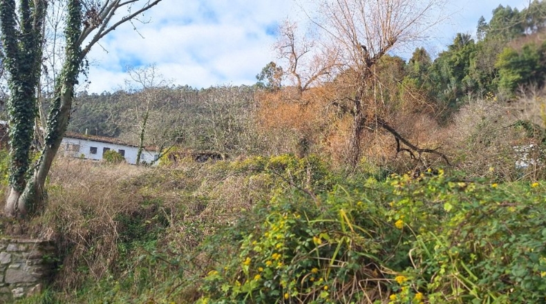 Asturias - Villaviciosa - 705m2