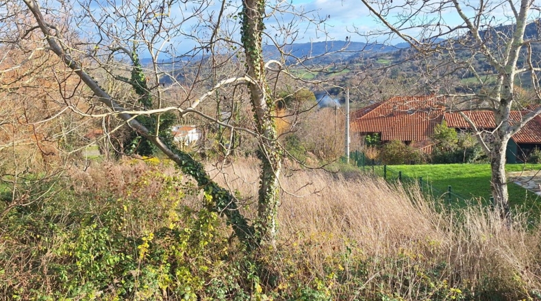 Asturias - Villaviciosa - 705m2