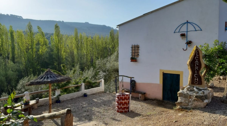 Jaén - Villacarrillo - 15000m2