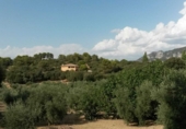 Masia amb terreny en venda a Villacarrillo ref.: TR21588 foto