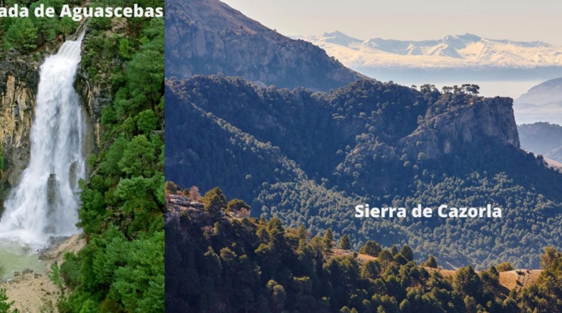 Jaén - Villacarrillo - 40000m2