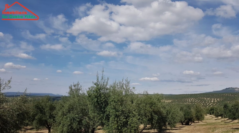 Jaén - Villacarrillo - 15000m2