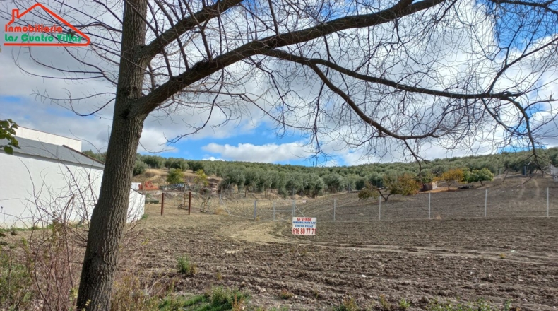 Jaén - Villacarrillo - 600m2