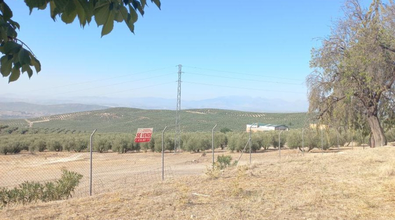 Jaén - Villacarrillo - 1800m2
