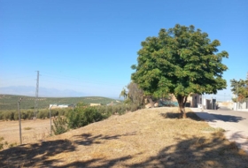 Villacarrillo 1800&nbsp;м²