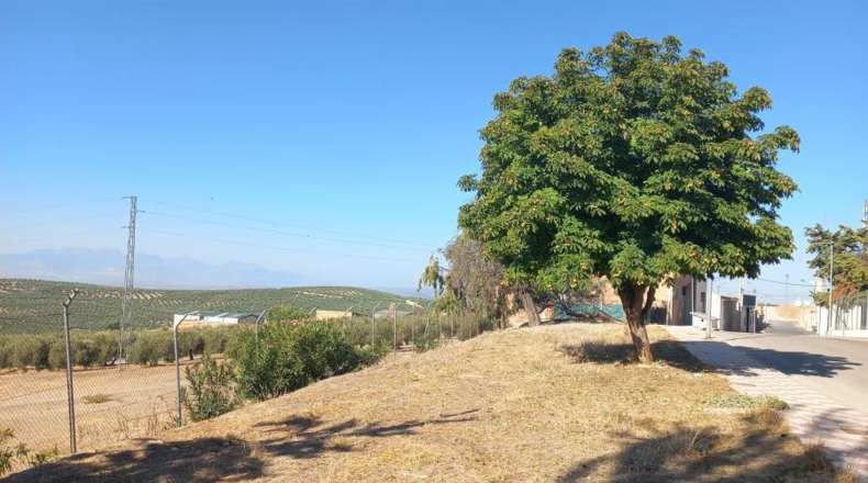 Jaén - Villacarrillo - 1800m2
