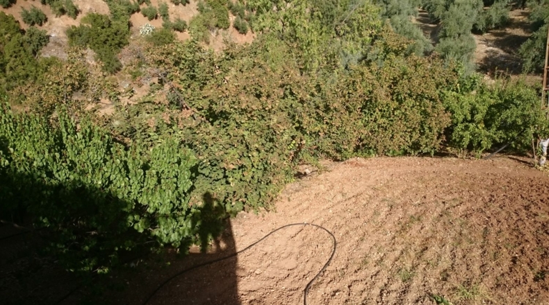 Jaen - Iznatoraf - 2110m2