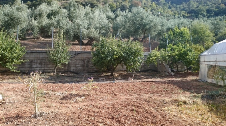 Jaen - Iznatoraf - 2110m2