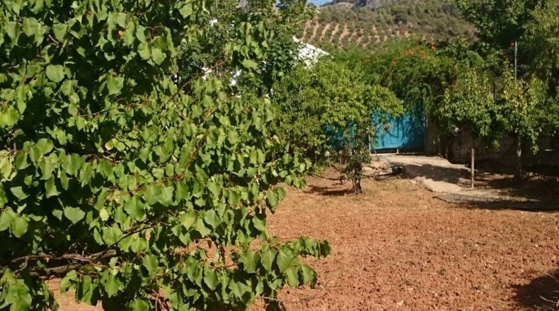 Jaen - Iznatoraf - 2110m2