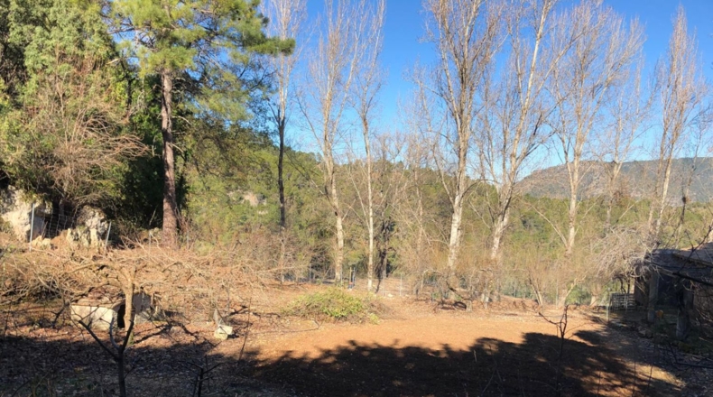 Jaen - Iznatoraf - 5000m2
