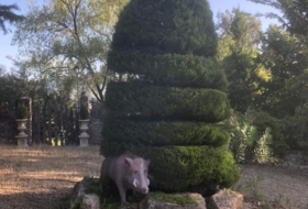 Foto 12