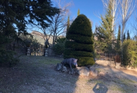 Foto 14