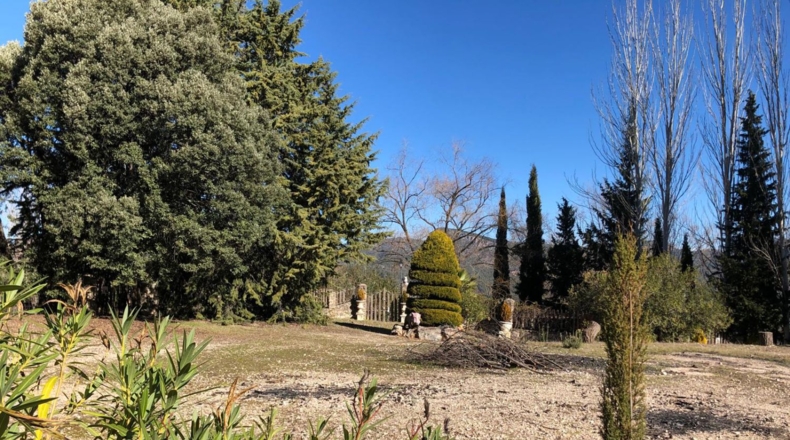 Jaen - Iznatoraf - 5000m2