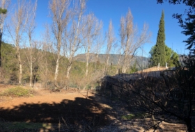 Foto 18