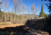 Masia amb terreny en venda a Iznatoraf ref.: TR274458 foto