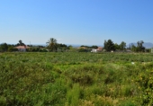 Xalet independent amb terreny en venda a Crevillent ref.: TR379690 foto