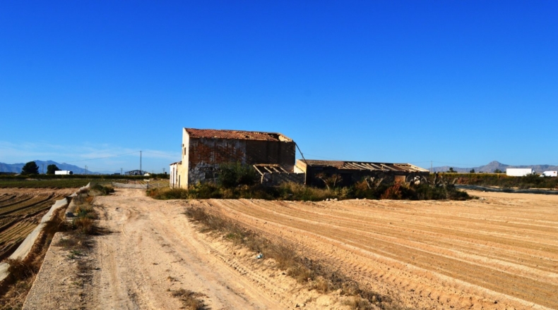 Alicante - Кревильенте - 18607m2