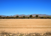 Terreny no urbanitzable en venda a Crevillent ref.: TR379616 foto