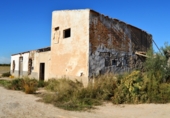 Terreny no urbanitzable en venda a Crevillent ref.: TR379616 foto