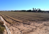 Terreny no urbanitzable en venda a Crevillent ref.: TR379616 foto