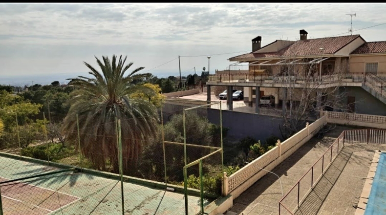 Alicante - Crevillent - 5000m2