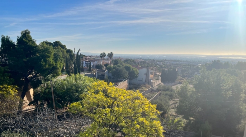 Alicante - Crevillent - 5000m2
