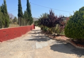 Xalet independent amb terreny en venda a Crevillent ref.: TR379645 foto