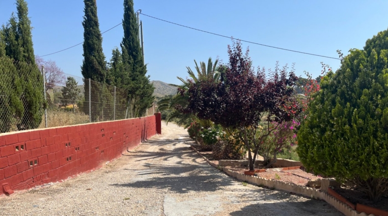 Alicante - Crevillent - 6729m2
