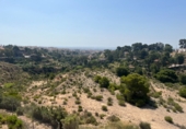 Xalet independent amb terreny en venda a Crevillent ref.: TR379645 foto
