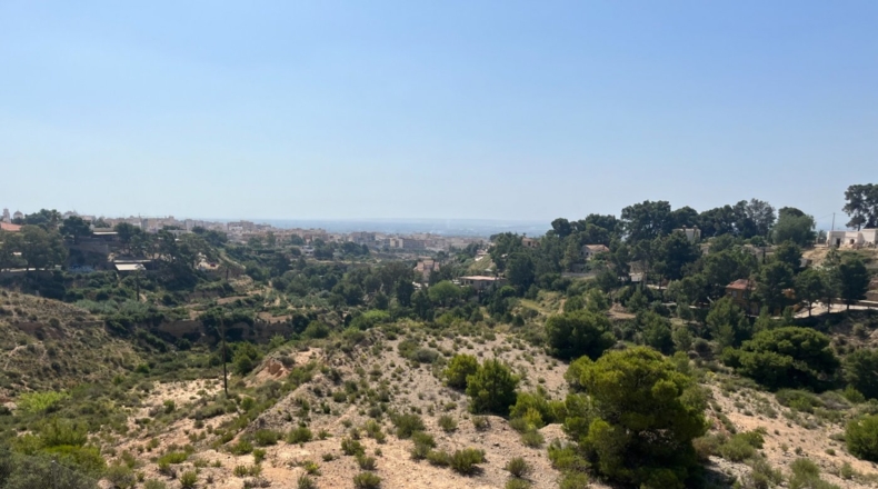 Alicante - Crevillent - 6729m2