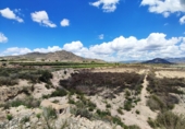 Non-developable land for sale in Novelda ref: TR379654 photo