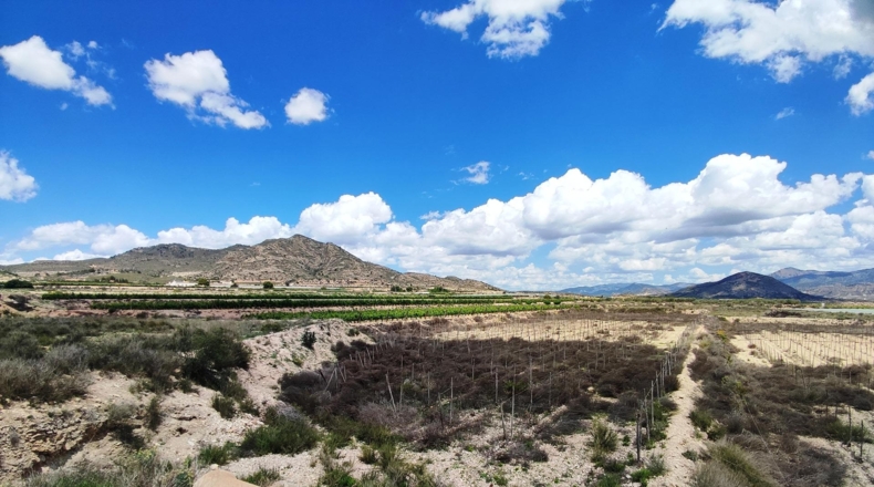 Alicante - Novelda - 12000m2