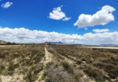 Non-developable land for sale in Novelda ref: TR379654 photo